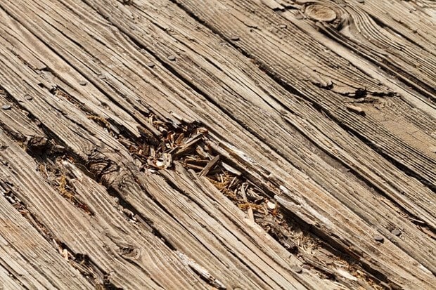 deck rot and structural repairs