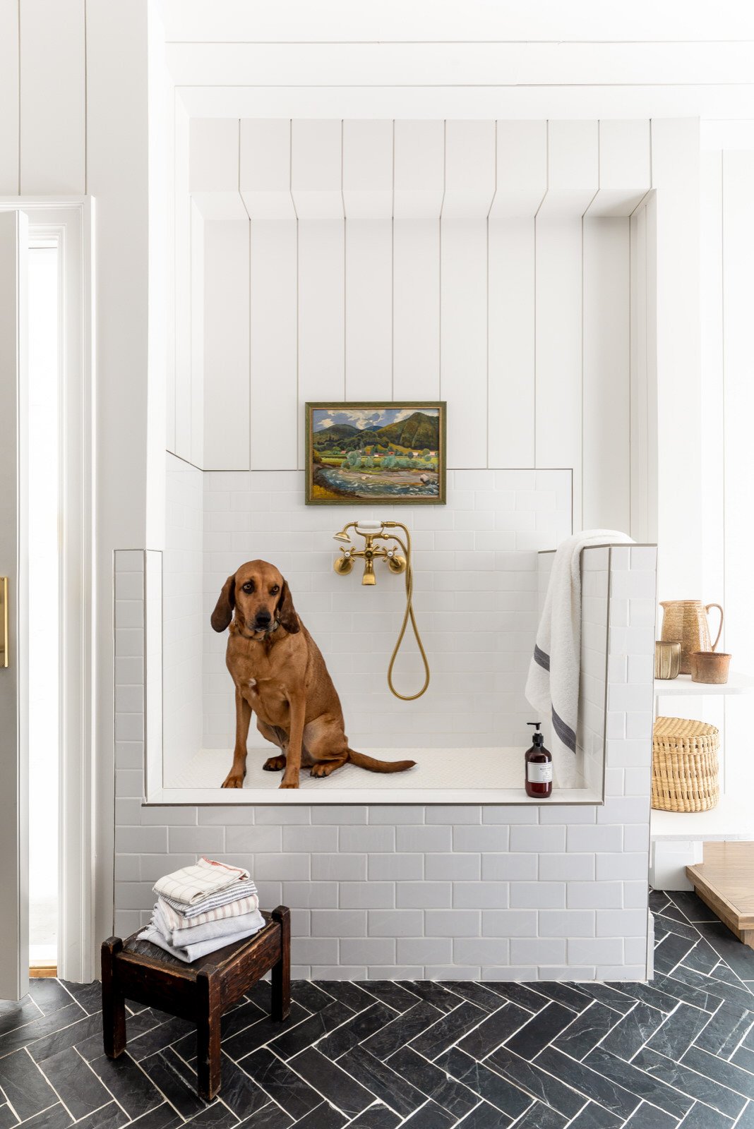 dog washing stations