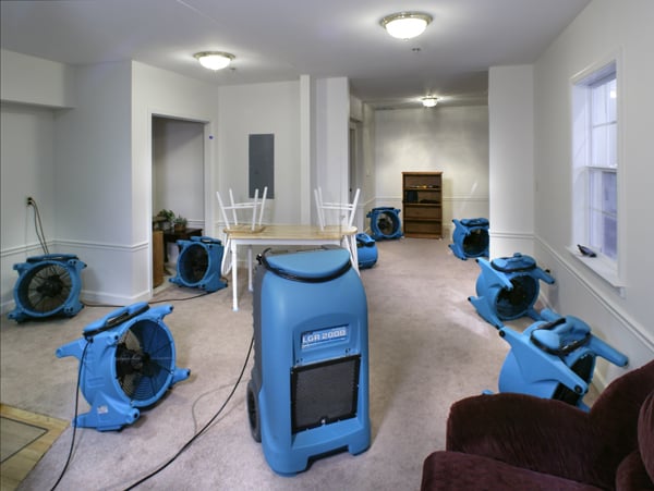 basement flood and storm damage remediation